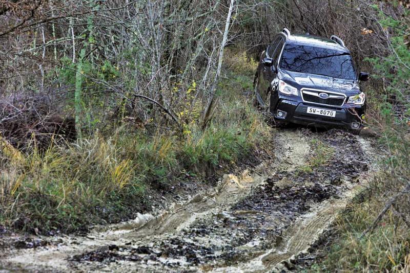 Тест-драйв Subaru Forester Тест-драйв Subaru Forester