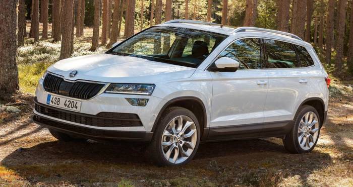 Внешний вид Skoda Karoq Вид Skoda Karoq